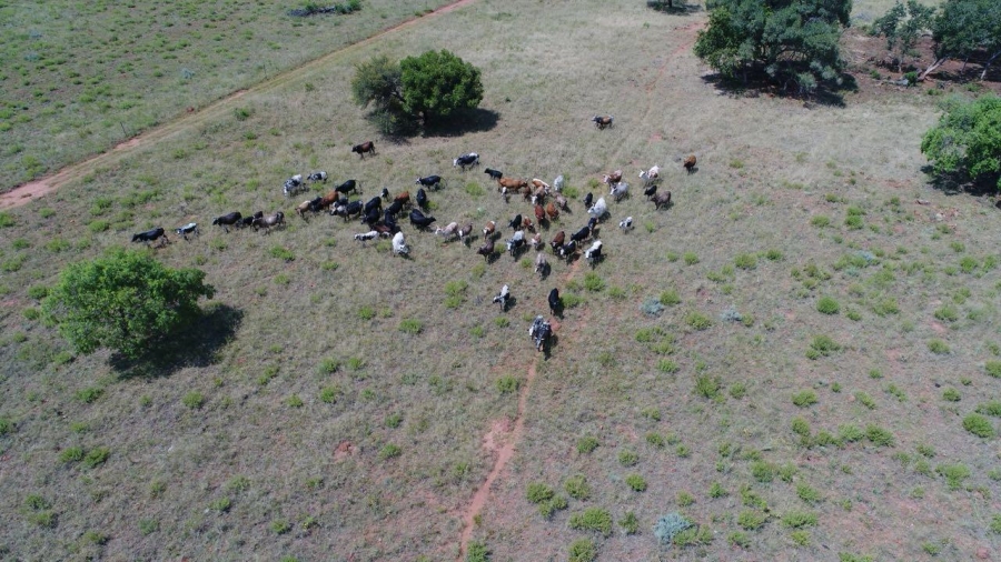 6 Bedroom Property for Sale in Remhoogte AH North West